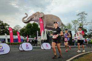 BIB: 
                            <button type="button" onclick="openModal(26528624)" class="btn btn-primary btn-sm float-right btn-popup" data-toggle="modal" data-target=".modal-high-quality">
                        <i class="fas fa-shopping-cart"></i> Add to Cart
                    </button>
                                            <button type="button" onclick="isThisMe(26528624, true)" class="btn btn-success btn-sm float-right btn-popup btn-isme hidden" data-toggle="tooltip" data-placement="bottom" title="นี่คือรูปของคุณใช่ไหม คลิกที่นี่เพื่อเอาเข้าอัลบั้ม">
                        <i class="fas fa-plus"></i> Add to album
                    </button>
                    <button type="button" onclick="isThisMe(26528624, false)" class="btn btn-warning btn-sm float-right btn-popup btn-isnotme hidden">
                        <i class="fas fa-ban"></i> Remove from album
                    </button>